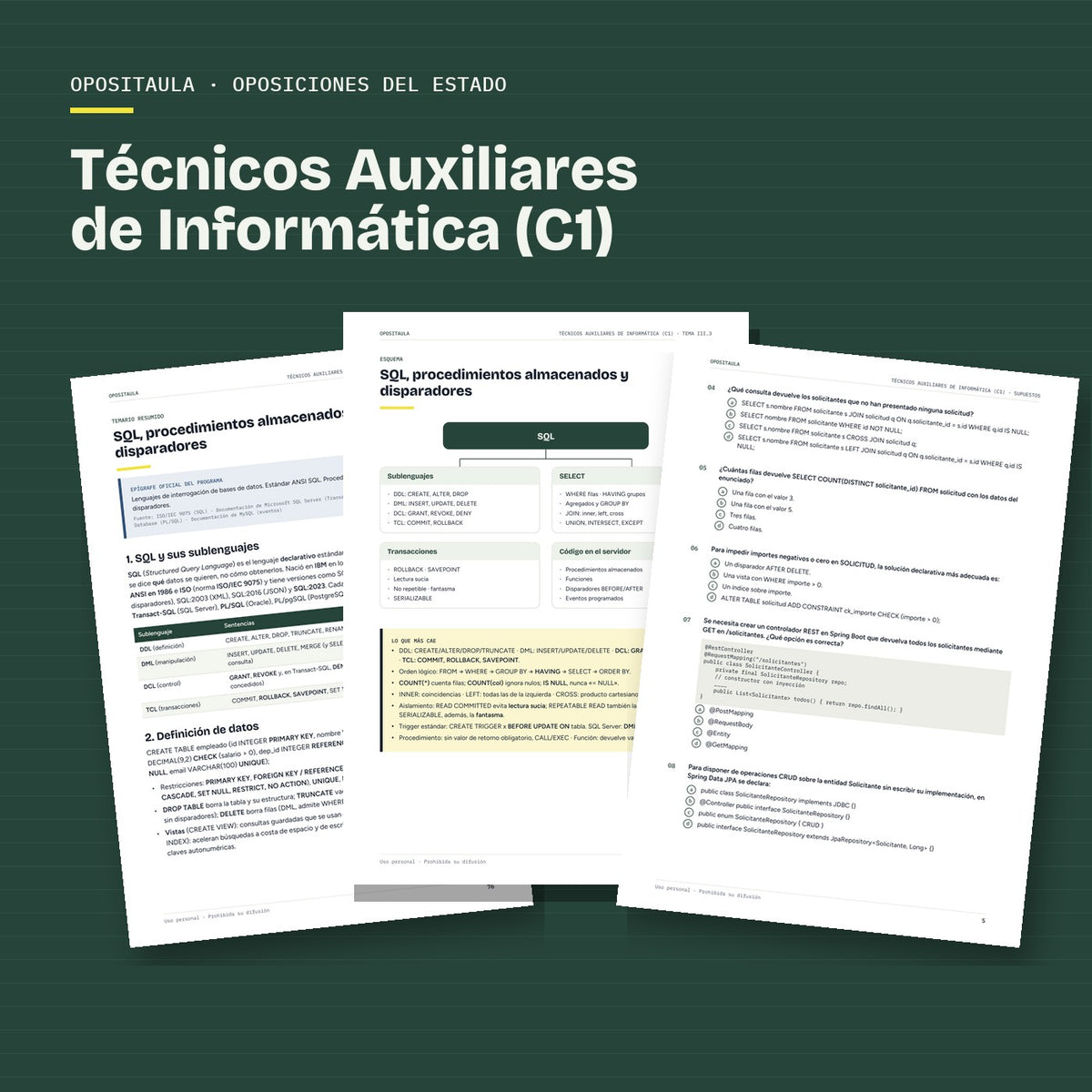 Páginas reales del material de Técnicos Auxiliares de Informática